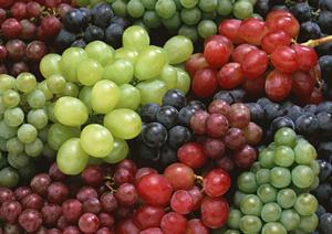 ミナミを中心に広がるホストクラブ