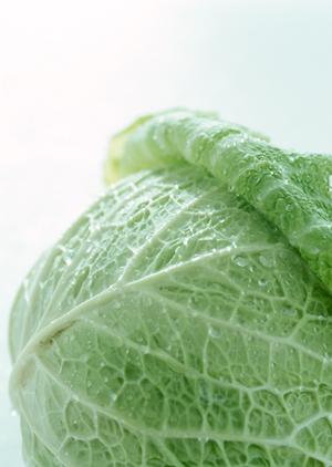 ホストクラブ業界に革命を起こしたSPLとは