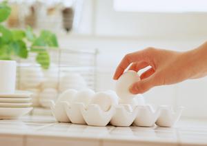 ホストクラブに行きたい方は必見です